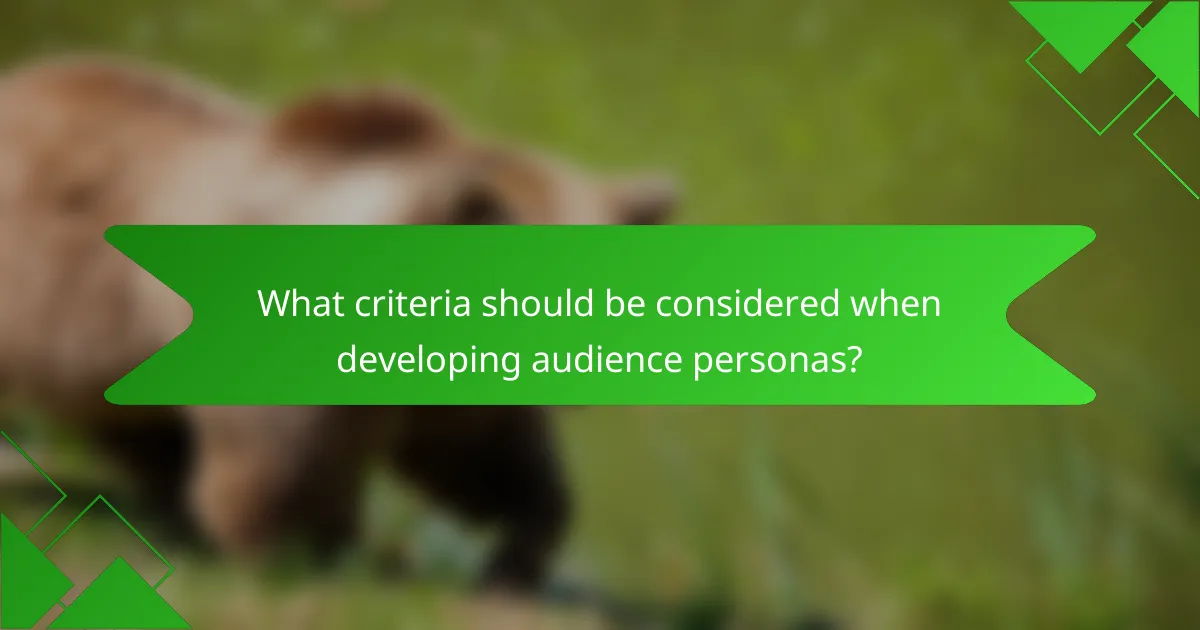 What criteria should be considered when developing audience personas?